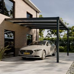 Pratt & Söhne Original carport helder polycarbonaat 16 mm 4 x 4 m
